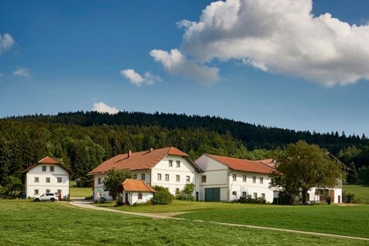Der Breinhof - Euer Urlaubsbauernhof Apartment Waldkirchen Bagian luar foto