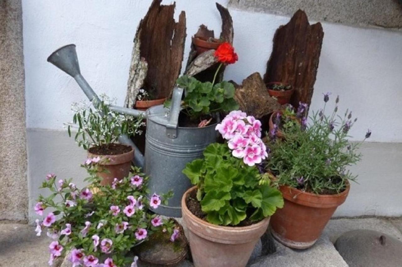 Der Breinhof - Euer Urlaubsbauernhof Apartment Waldkirchen Bagian luar foto